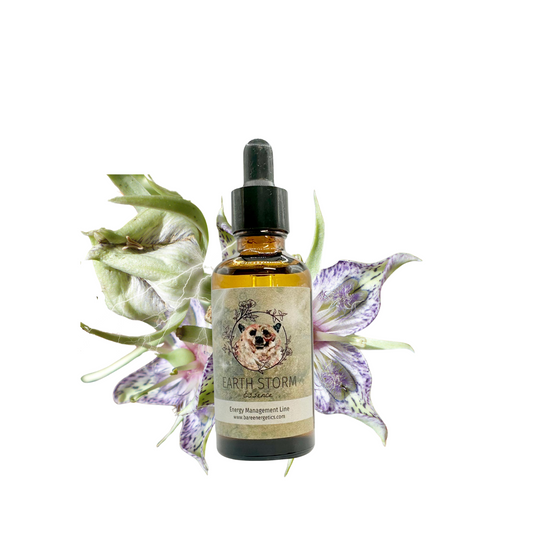 Earth Storm Essence Blend
